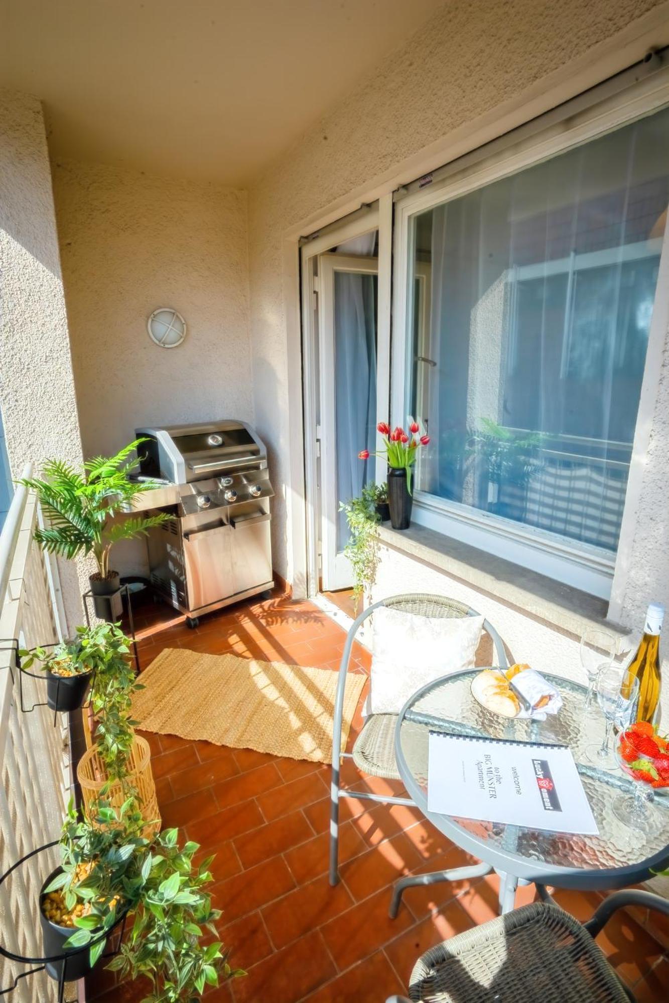The Big Muenster Fuer Bis Zu 12, Whirlpool, Sauna, Zentral, Tischfussball, Balkon, Gasgrill Ulm Dış mekan fotoğraf